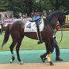 5/13東京6R：アメリカンツイストは見所ない９着