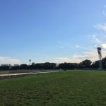 東京競馬場・馬場開放