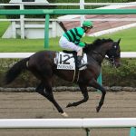 10/14東京5R：アメリカンツイストは4枠5番