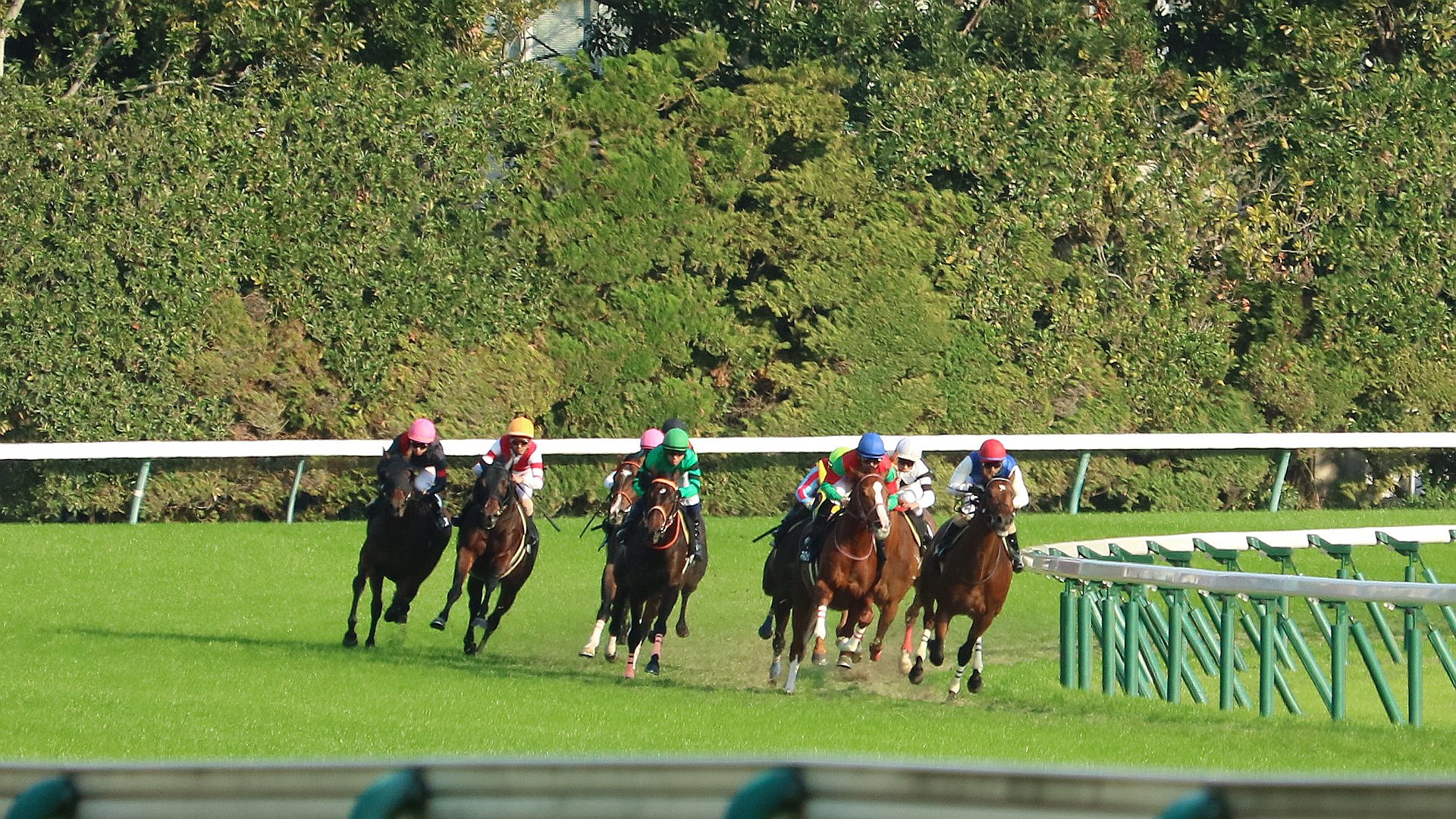 競馬場で写真撮影