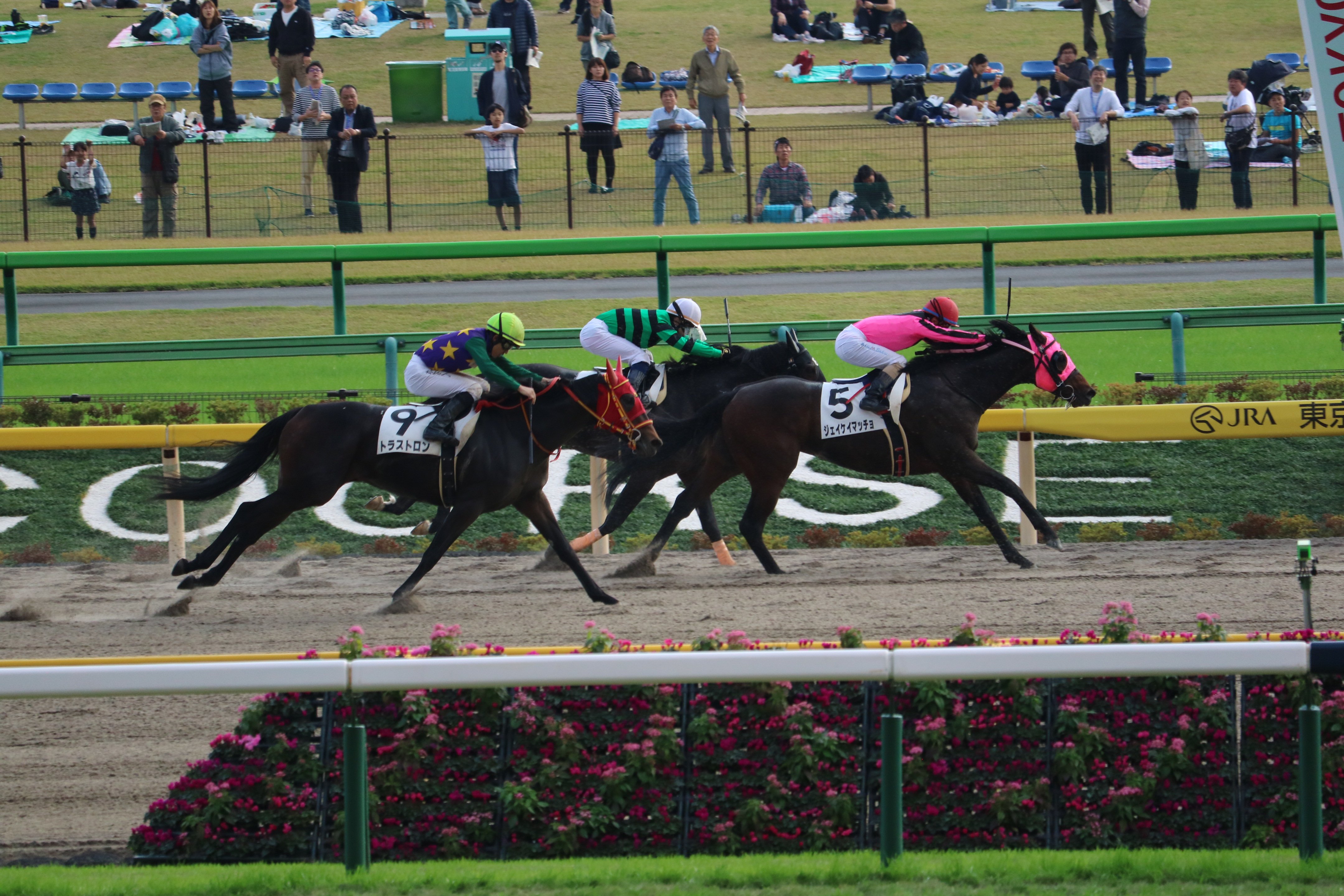 競馬場で写真撮影