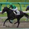 5/2東京12R：アメリカンツイストはゲートで立ち上がり11着