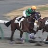 3/24阪神3R：スタ－リーパレードは1枠1番