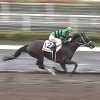 3/1中京８Ｒ：スターリーパレードはピリッとしない競馬で６着