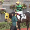 9/3小倉7R：ダイヤモンドフジは6枠11番