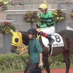 8/12小倉12R：ダイヤモンドフジは中央復帰戦を３着