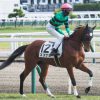 GF出資馬の近況 2021/11/5