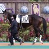 GF出資馬の近況 2021/12/1