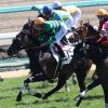 1/13愛知杯：アレグロモデラートは初挑戦の重賞で４着