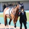 GF出資馬の近況 2022/5/19