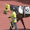 GF出資馬の近況 2022/6/15