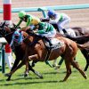 9/25中山5R：スマラグドスは瞬発力勝負を制して新馬勝ち