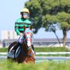 11/26京都２歳Ｓ：スマラグドスは勝負所の不利で12着