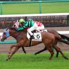 GF出資馬の近況 2024/11/1