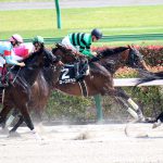 9/16松戸特別：ローズボウルは末脚使えず９着