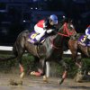 YGG出資馬の近況 2024/7/25