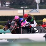 12/28立志賞：ミスティックロアは攻め馬不足でも２着