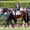 5/18東京5R：ビクトリーフォースは7枠14番