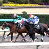 GF出資馬の近況 2024/3/6