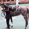 GF出資馬の近況 2024/5/29