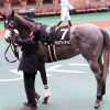 GF出資馬の近況 2024/3/29