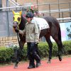 7/13小倉12R：ダイヤモンドフジは斤量差に屈して４着