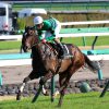 6/15保津峡Ｓ：アレグロモデラートは中段前目から競馬をして８着