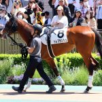 5/5東京7R：トレブランシュは単騎逃げも失速して13着