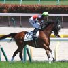 YGG出資馬の近況 2024/7/18