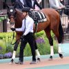 10/19神無月Ｓ：ローズボウルは競馬に参加できず12着