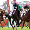 DMM出資馬の近況 2024/5/29