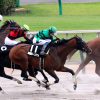 10/19神無月Ｓ：ローズボウルは3枠5番
