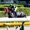 DMM出資馬の近況 2024/7/25
