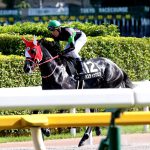DMM出資馬の近況 2024/7/25