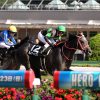 DMM出資馬の近況 2024/8/9
