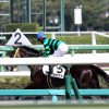 11/9東京7R：サミアドは3枠5番