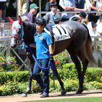 GF出資馬の近況 2024/11/22