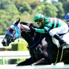 GF出資馬の近況 2024/11/7