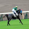 4/12阪神1R：レディオンステージはダート適性なく殿負け