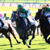 GF出資馬の近況 2024/12/29