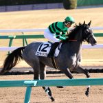 4/20福島4R：コンサートツアーは1枠2番