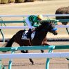 3/30中山4R：ダウントゥアースは2枠4番