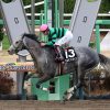 3/15阿見特別：ソウルアンドジャズは捲りが早過ぎて６着