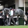 4/13印西特別：ソウルアンドジャズは3枠3番