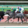 GF出資馬の近況 2025/4/3