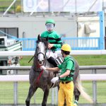 GF出資馬の近況 2025/5/14