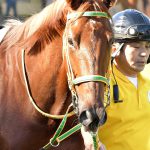 GF出資馬の近況 2026/6/18