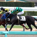 GF出資馬の近況 2026/3/13